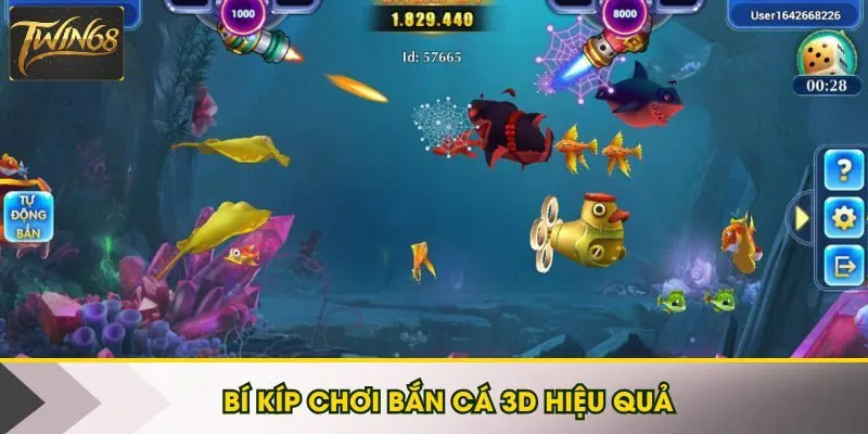 Tổng hợp mẹo săn mồi hiệu quả giữa lòng biển