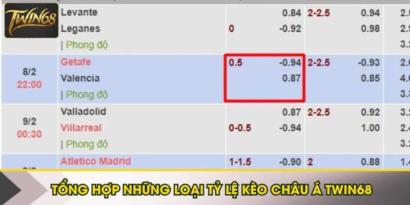 Tổng hợp những loại tỷ lệ kèo châu Á Twin68